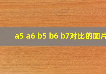 a5 a6 b5 b6 b7对比的图片